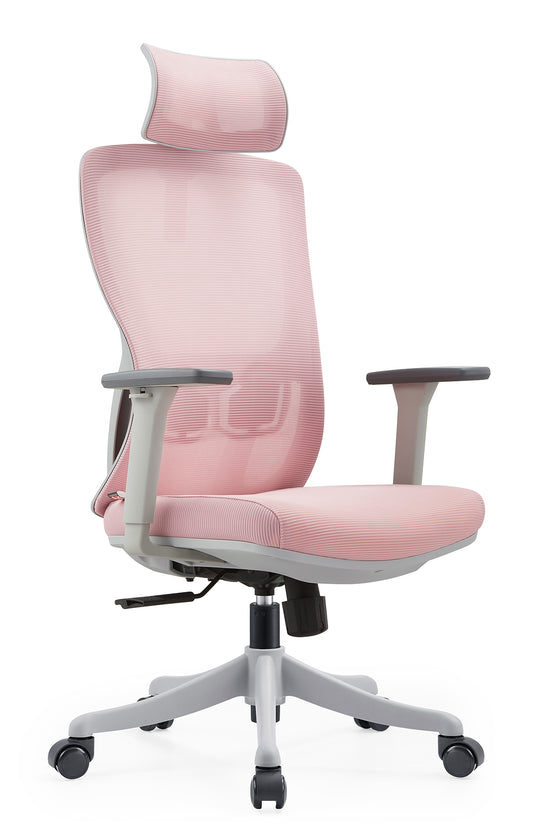 Panatag V2 Ergonomic Chair