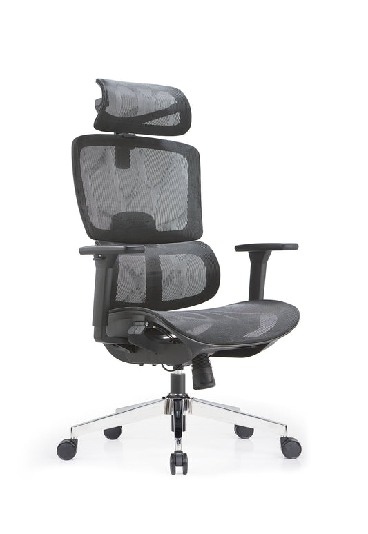 Malaya Ergonomic Chair